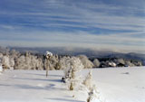 Winter in Freyung, Bayerischer Wald